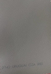 Courvin Automotivo Uruguai Cinza R81 2242